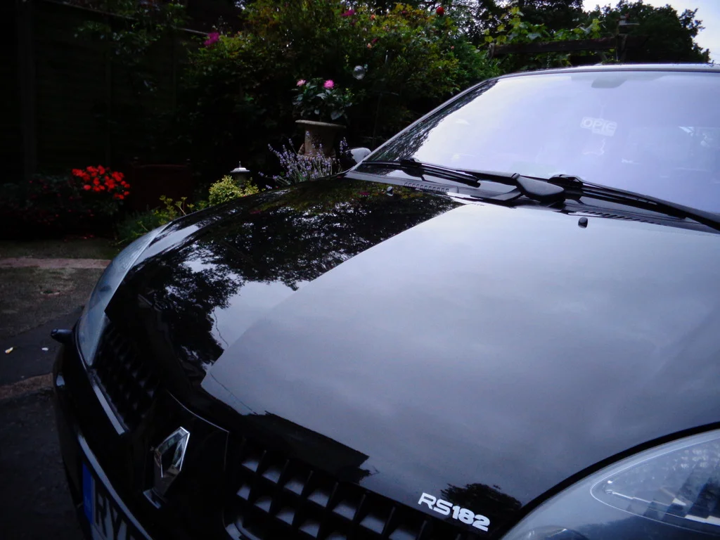 DSC00184.webp