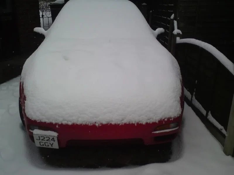 DSC00185.webp