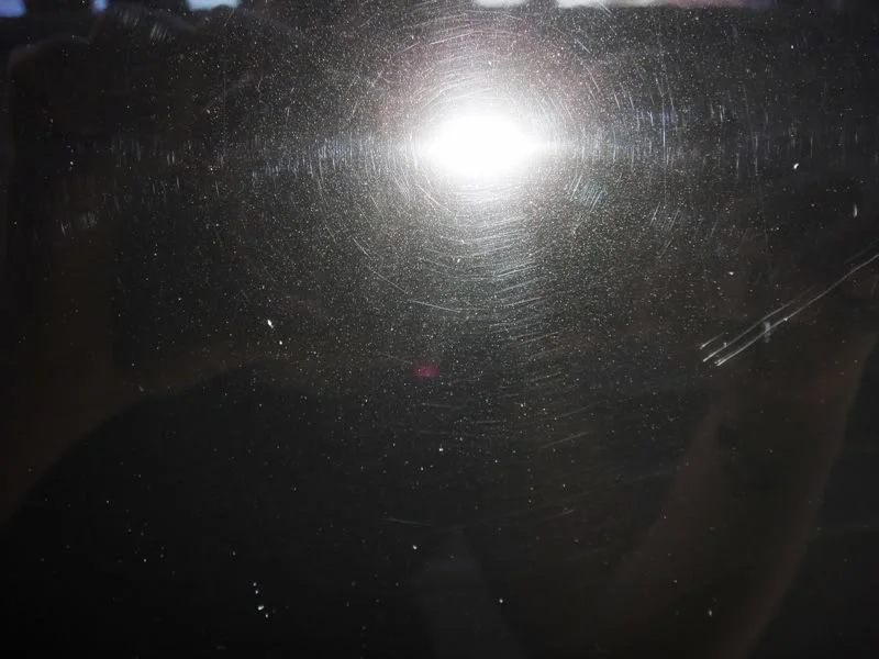 DSC00186.webp