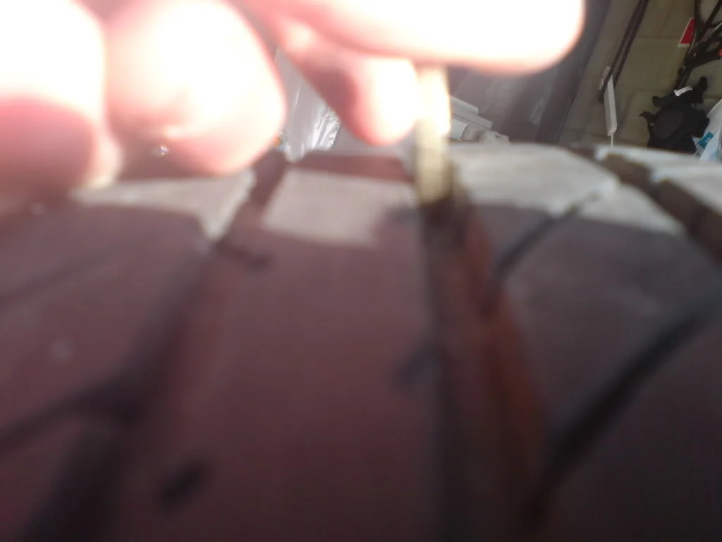 DSC00187.webp