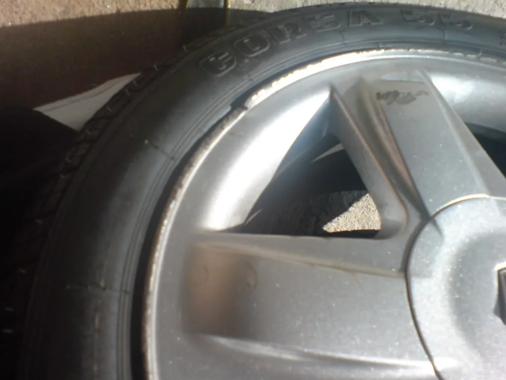 DSC00194.webp