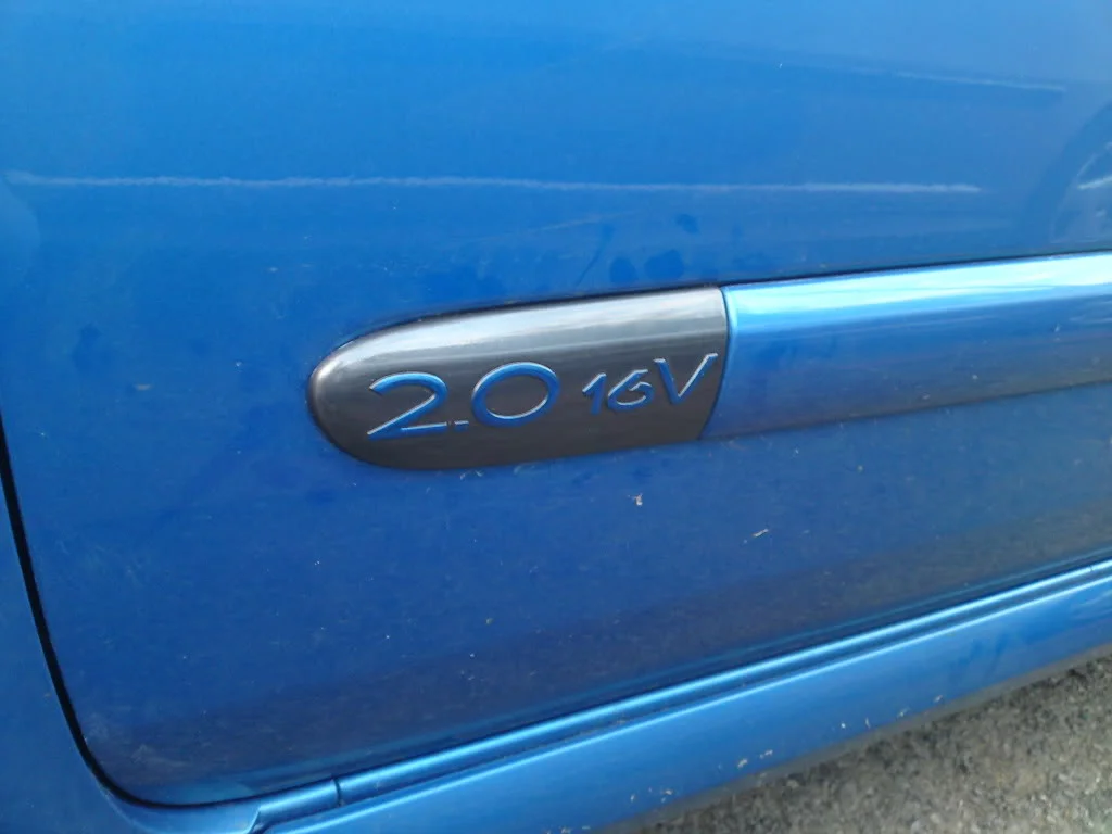 DSC00200.webp