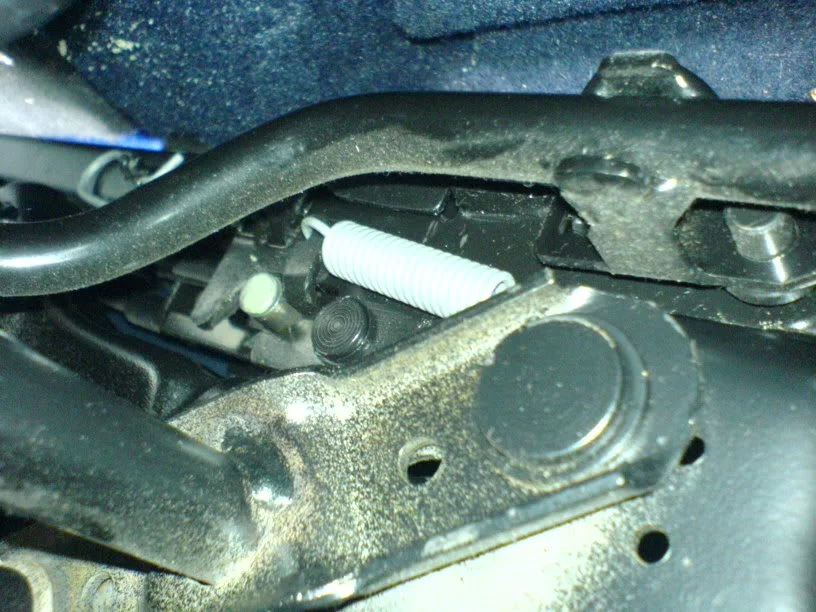 DSC00201.webp