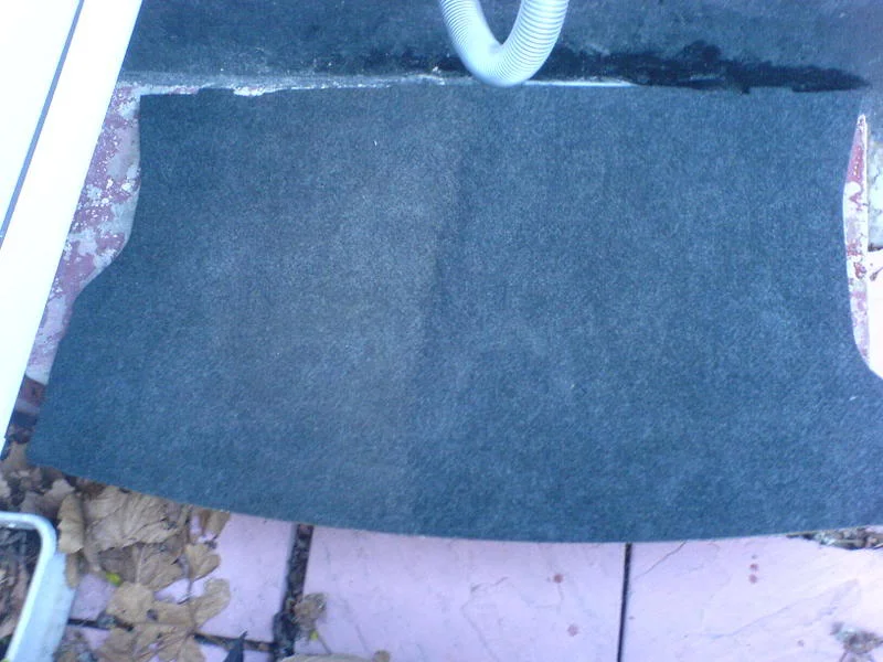 DSC00204.webp