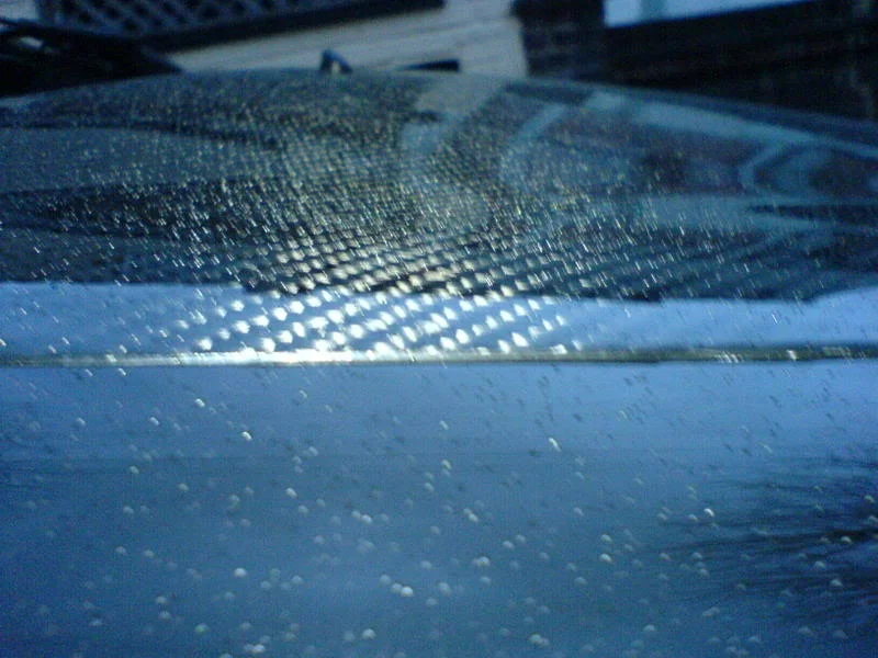 DSC00210.webp