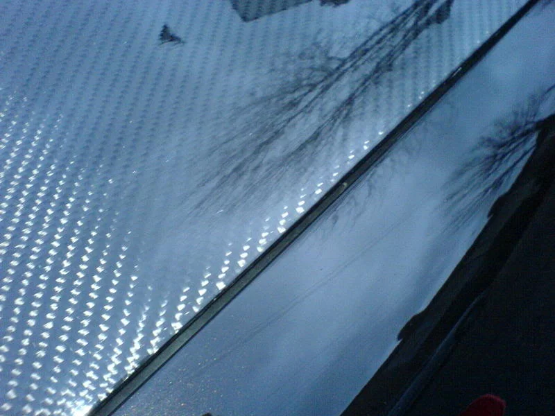 DSC00211.webp