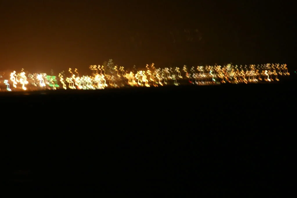 DSC00211.webp
