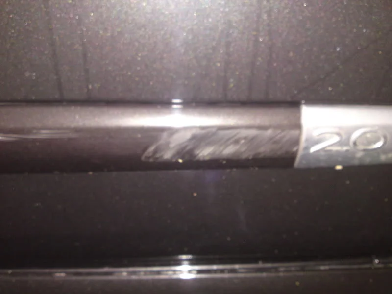 DSC00218.webp