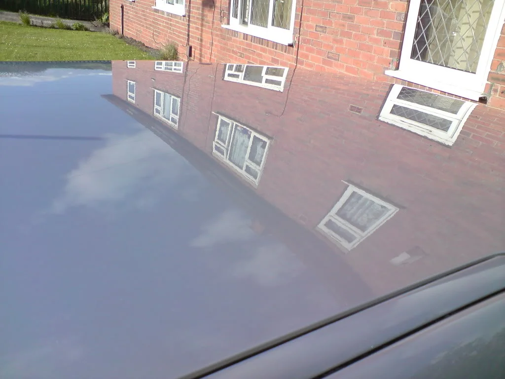 DSC00221.webp