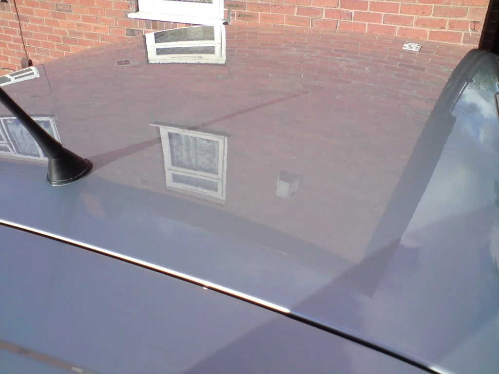 DSC00223-1.webp