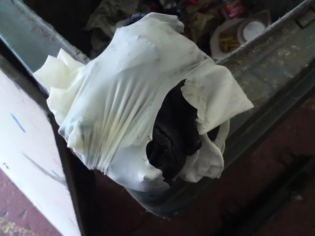 DSC00227.webp