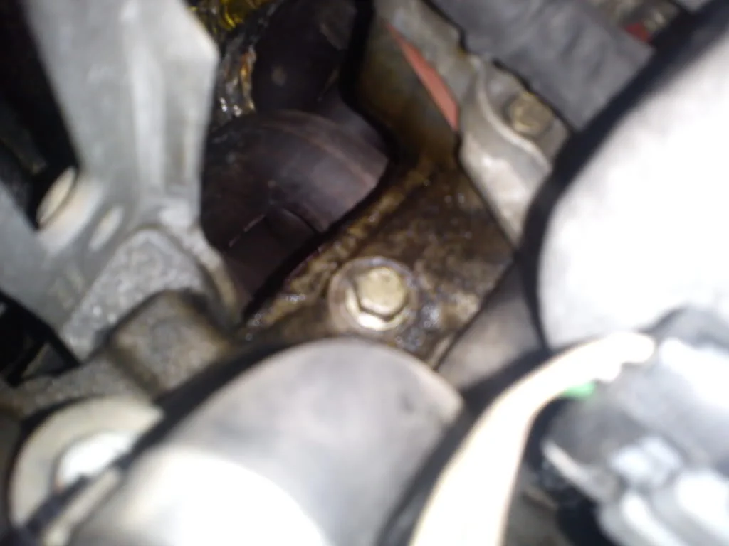DSC00229.webp
