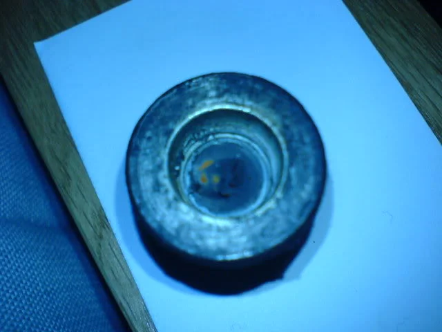 DSC00231.webp