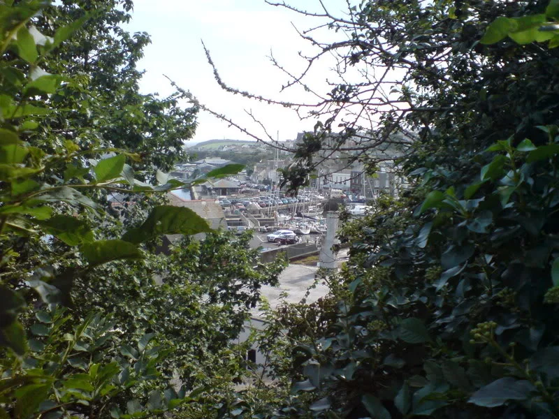 DSC00233.webp