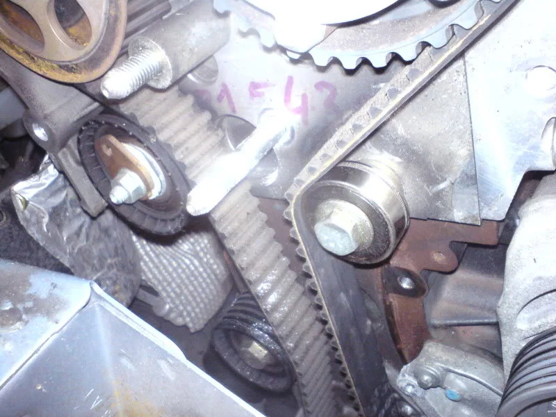 DSC00235.webp