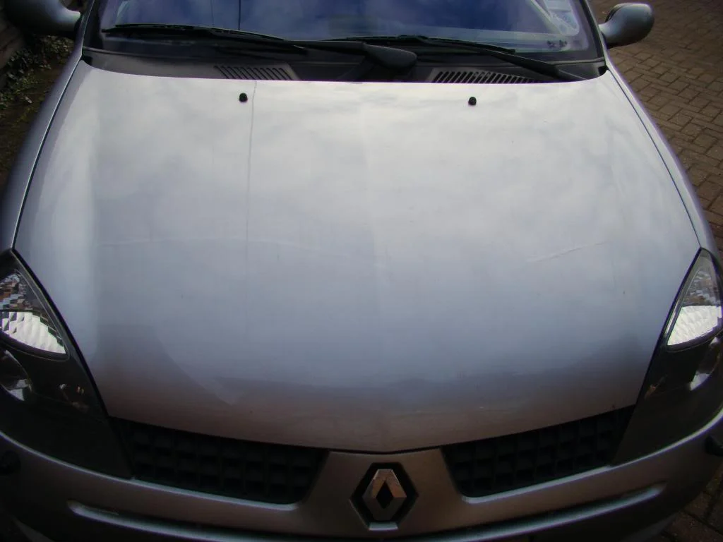 DSC00236.webp