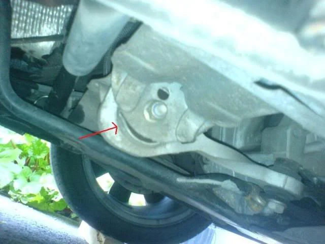 DSC00238-1.webp