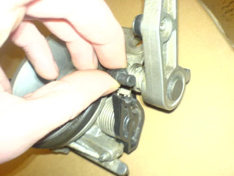 DSC00238.webp