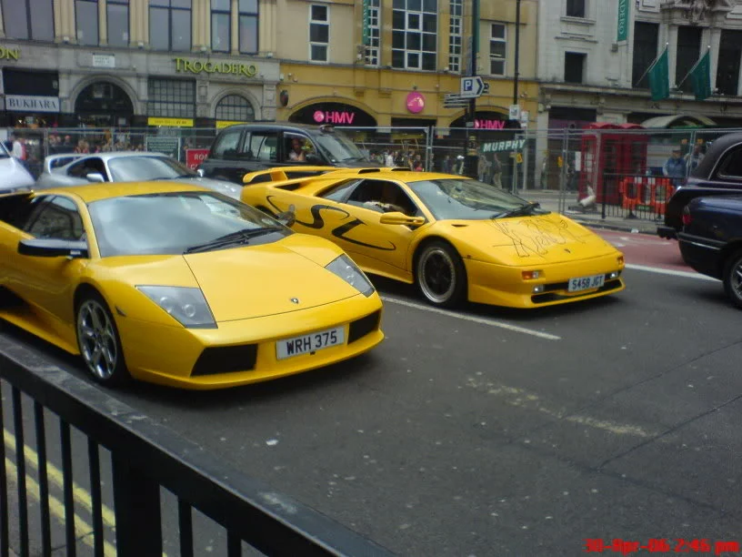 DSC00239.webp