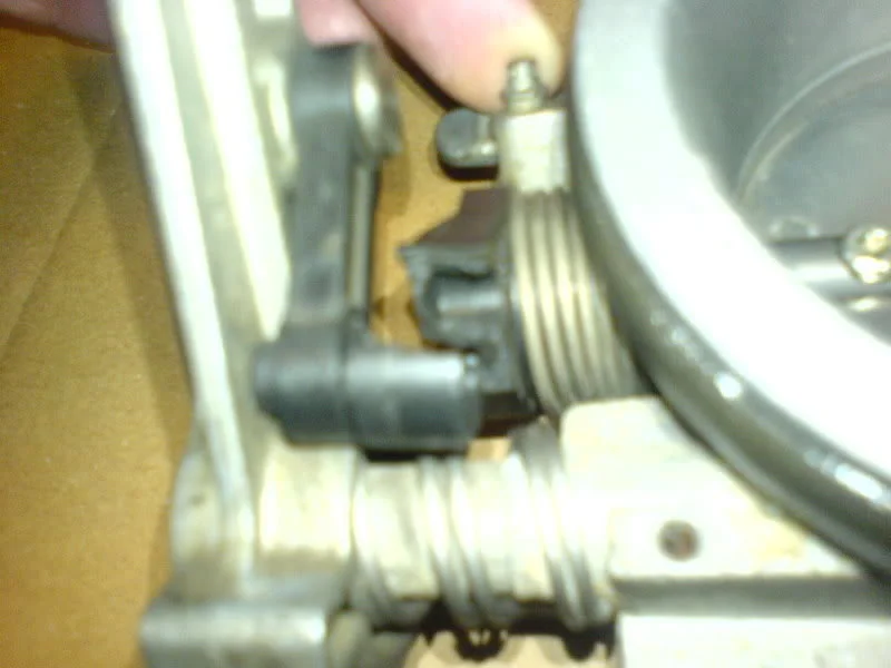 DSC00239.webp