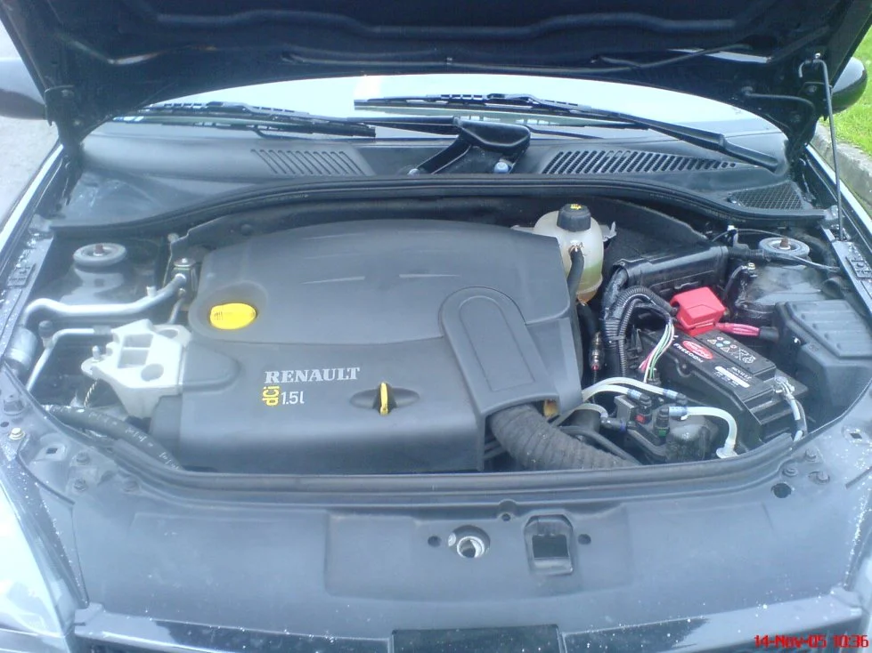 Dsc00239rz.webp