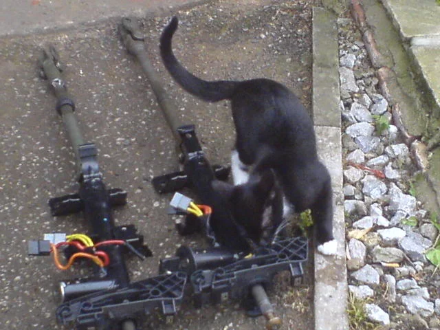 DSC00241.webp