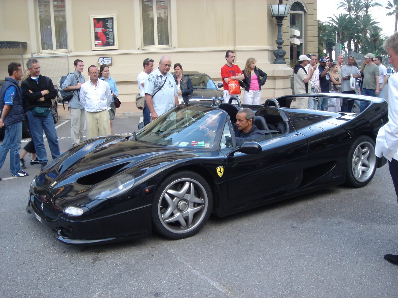 DSC00243.jpg
