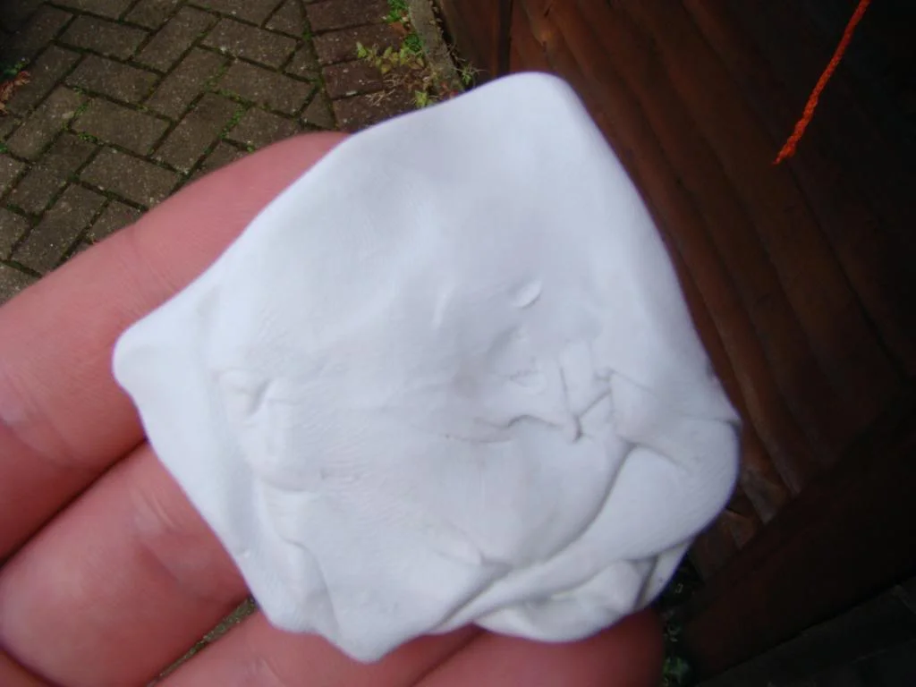 DSC00243.webp
