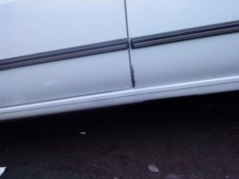 DSC00244.webp