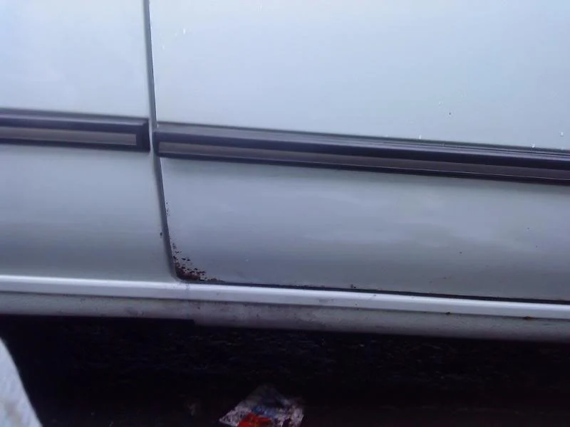 DSC00246.webp