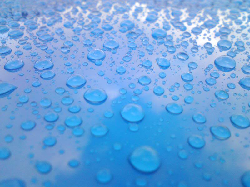 DSC00252.jpg DSC00252.jpg