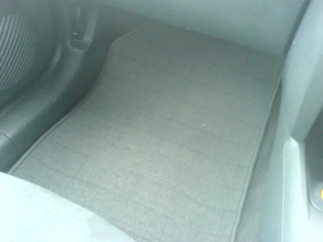 DSC00265.webp