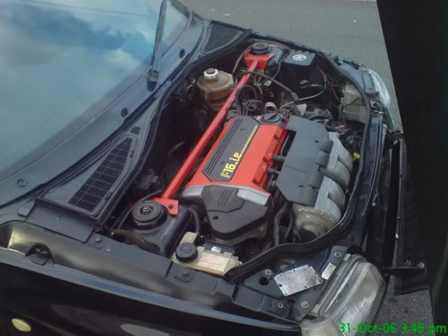 DSC00265.webp