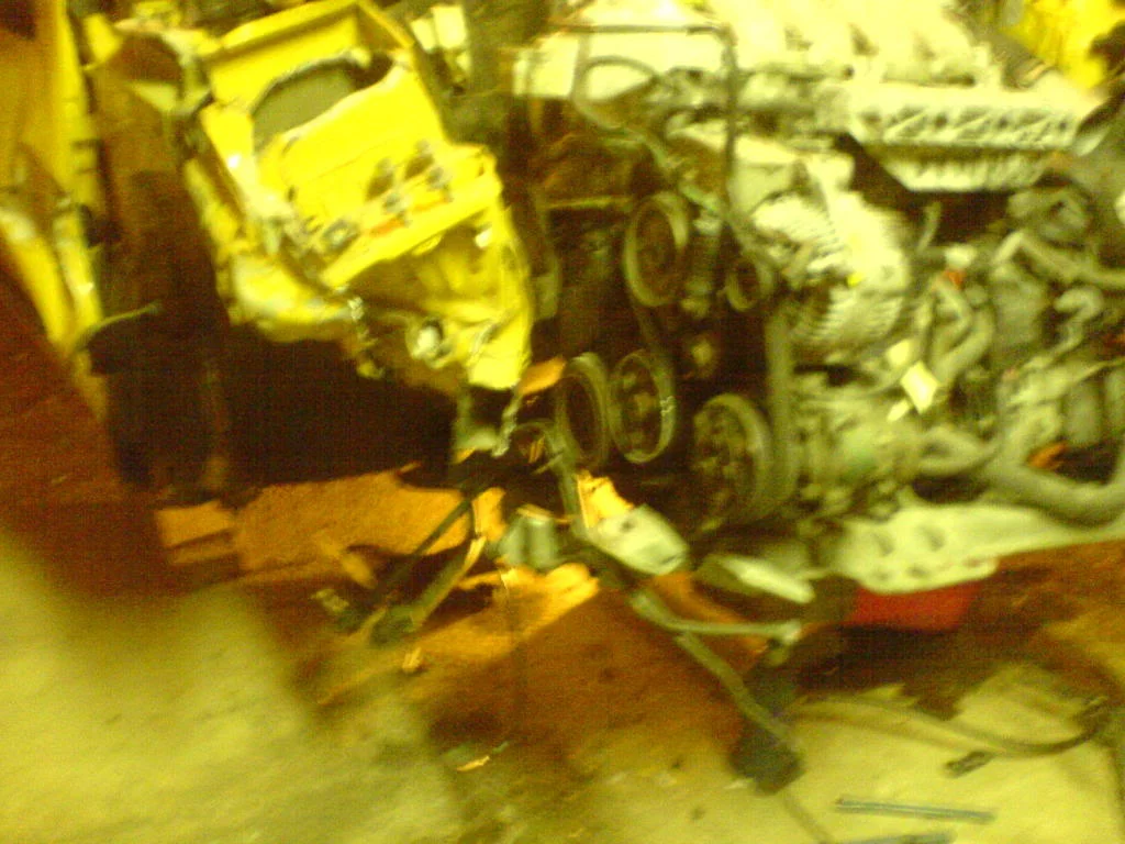 DSC00273.webp