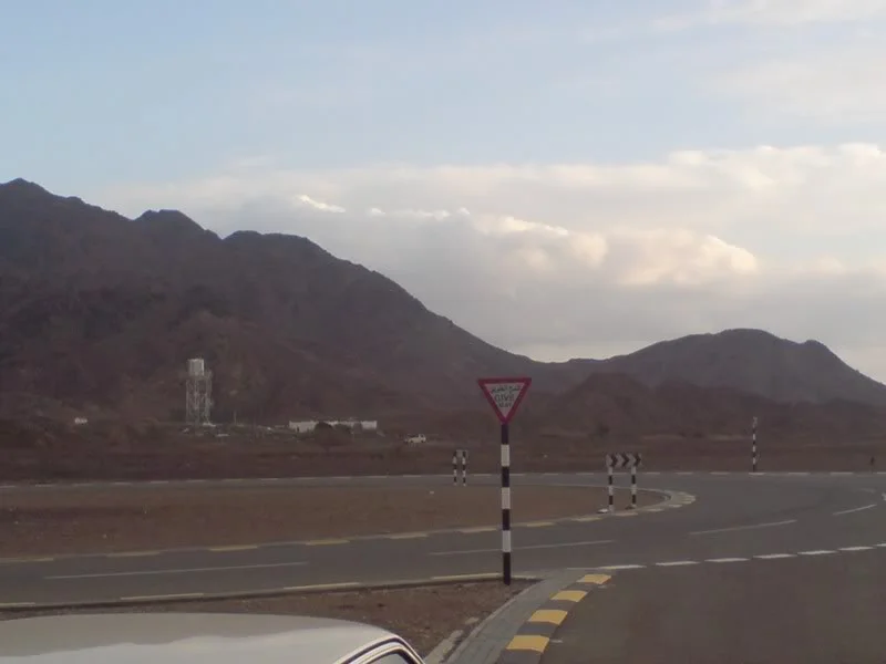 DSC00274.webp
