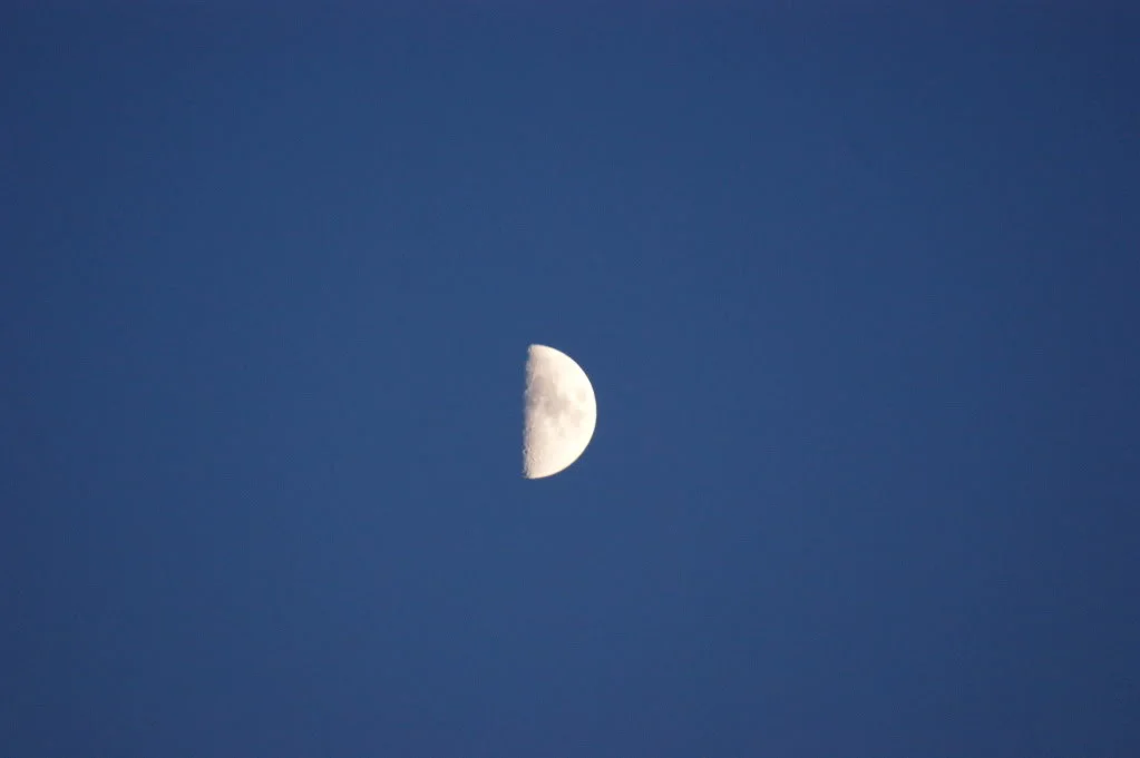 DSC00275.webp