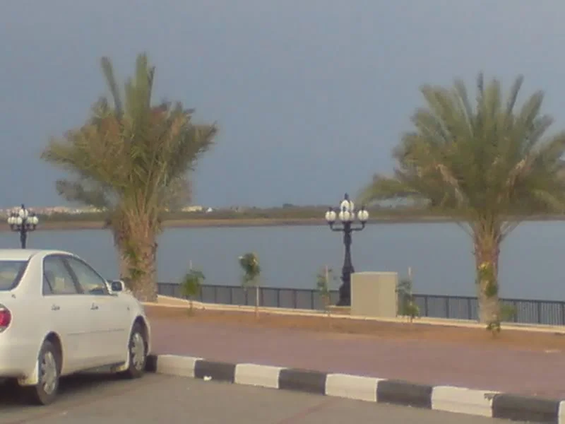 DSC00280.webp