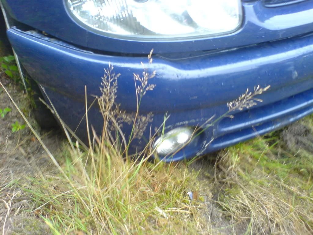 DSC00282.webp