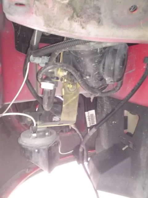 DSC00282.webp