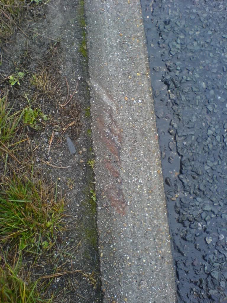 DSC00285.jpg DSC00285.jpg