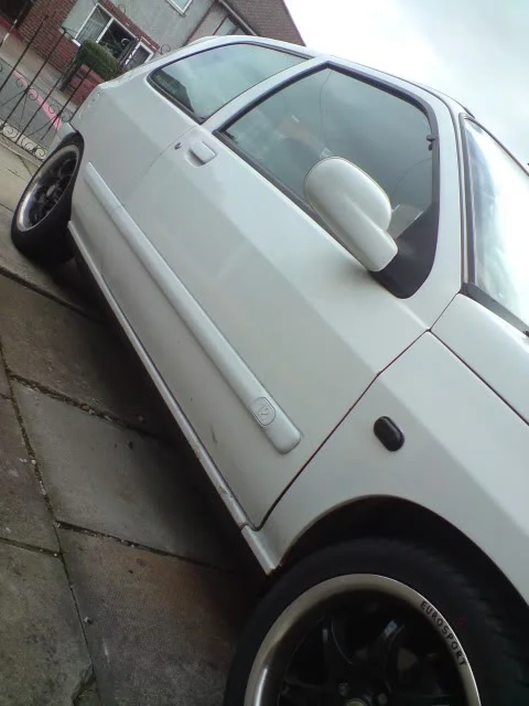 DSC00286.webp