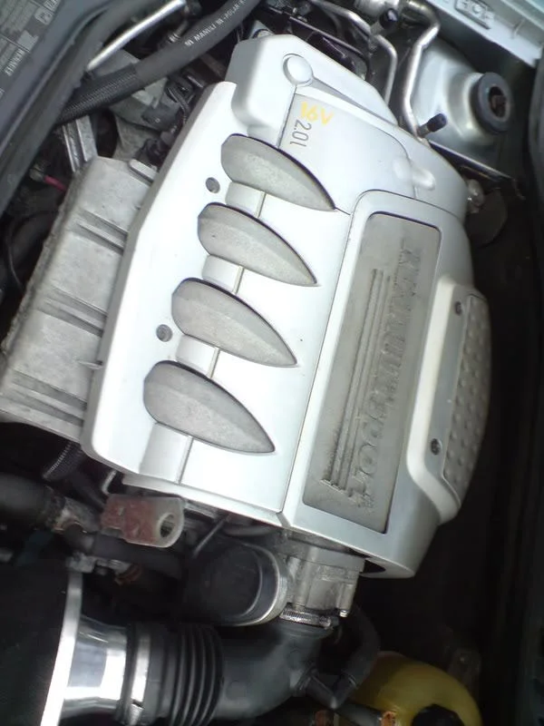 DSC00291.webp