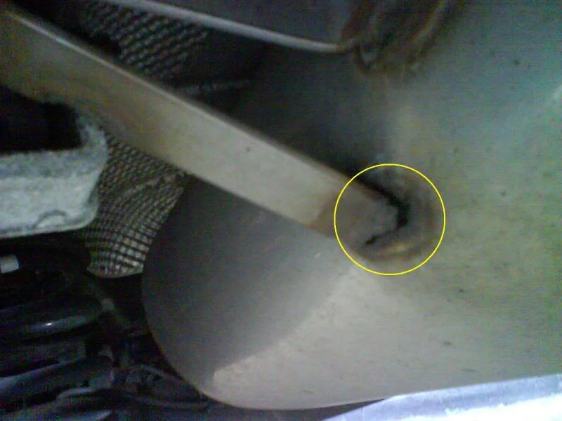 DSC00296.webp
