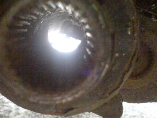 DSC00299.webp