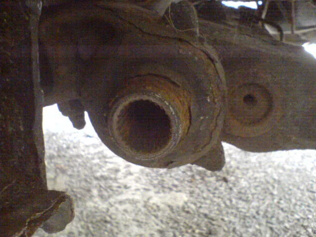 DSC00300.webp