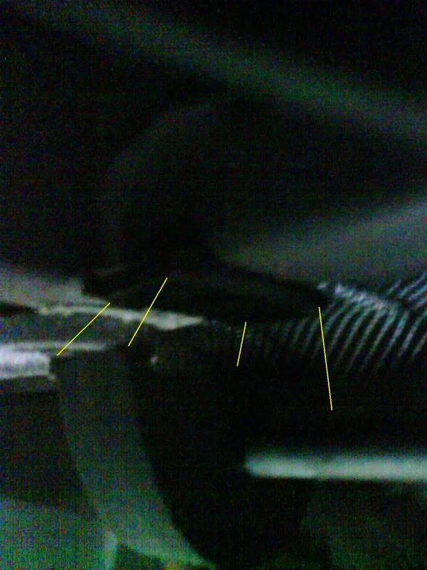 DSC00300.webp