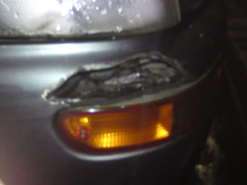DSC00300.webp