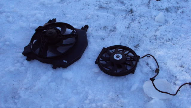 DSC00303.jpg