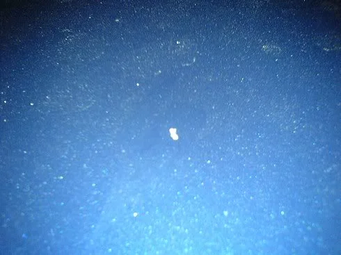 DSC00303.webp