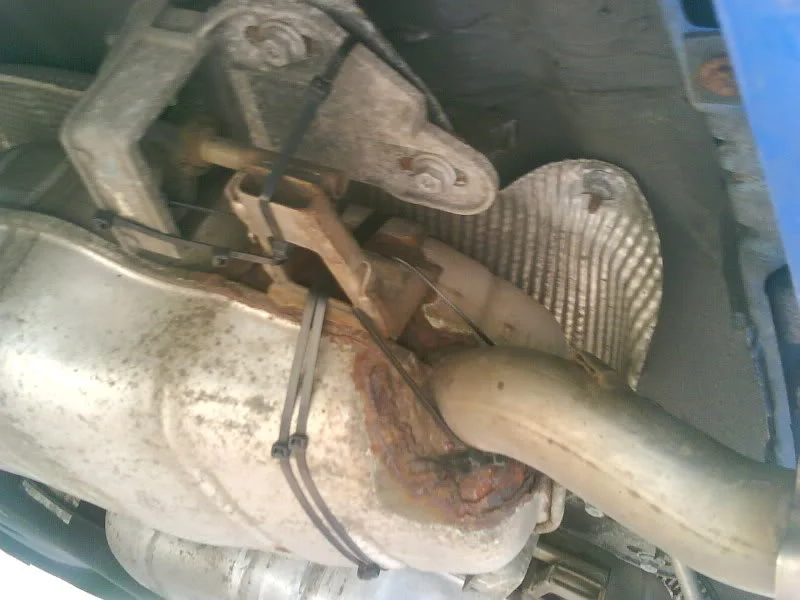 DSC00305.webp